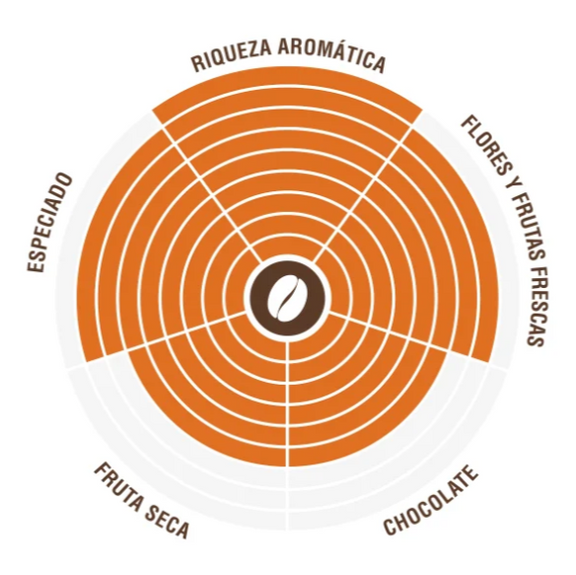 Costadoro Master Café en Grano 250 g