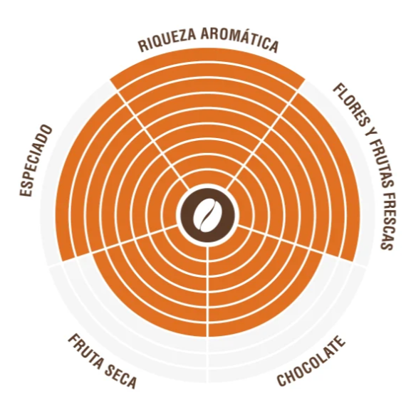 Costadoro Master Café en Grano 250 g