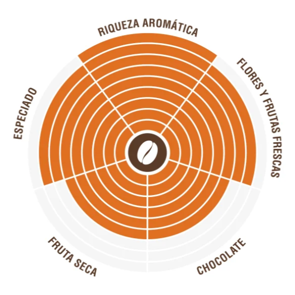 Costadoro Master Café en Grano 1 kg